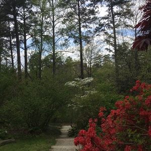 Meet your Posher, Charles